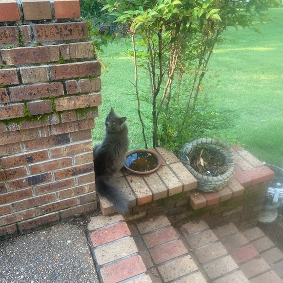 Meet your Posher, Amanda - Picture 6 of 8